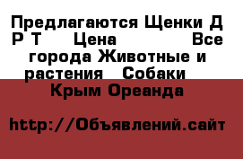 Предлагаются Щенки Д.Р.Т.  › Цена ­ 15 000 - Все города Животные и растения » Собаки   . Крым,Ореанда